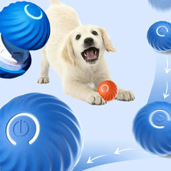 Smart Dog Toy Ball 🐾 – The Ultimate Interactive Pet Companion! 🎉