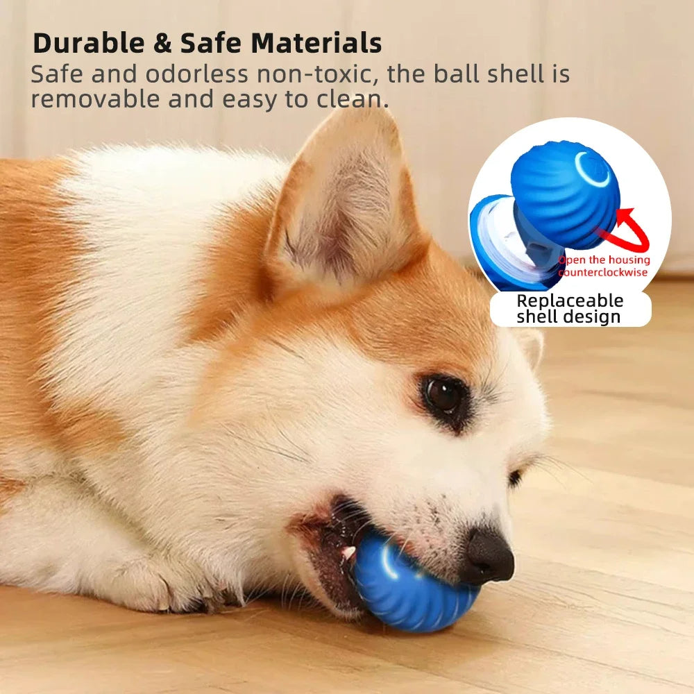 Smart Dog Toy Ball 🐾 – The Ultimate Interactive Pet Companion! 🎉