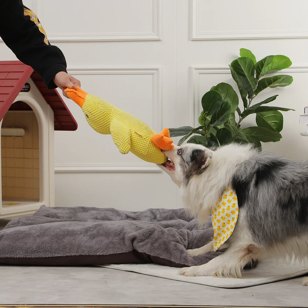 HOOPET Dog Sleeping Toy – Interactive Duck Chew Toy for Dogs with Sound