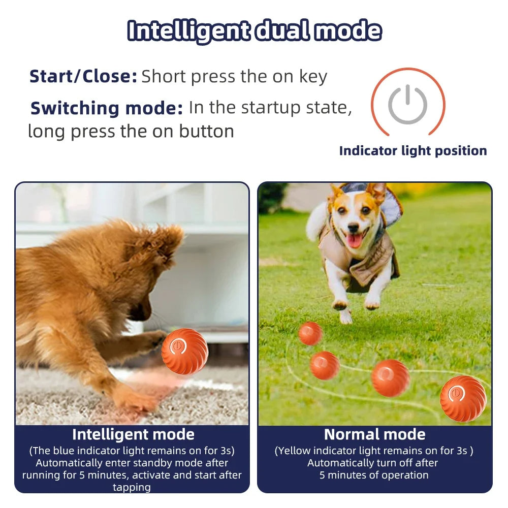 Smart Dog Toy Ball 🐾 – The Ultimate Interactive Pet Companion! 🎉