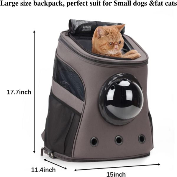 Large Cat Bubble Backpack