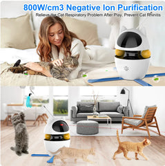 Multifunctional Interactive Cat Toy