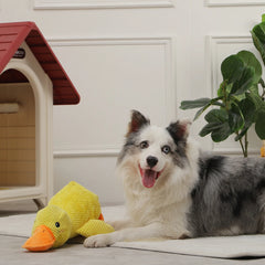 HOOPET Dog Sleeping Toy – Interactive Duck Chew Toy for Dogs with Sound