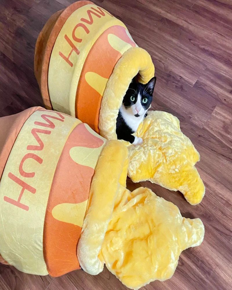 Honey Pot Cat Bed