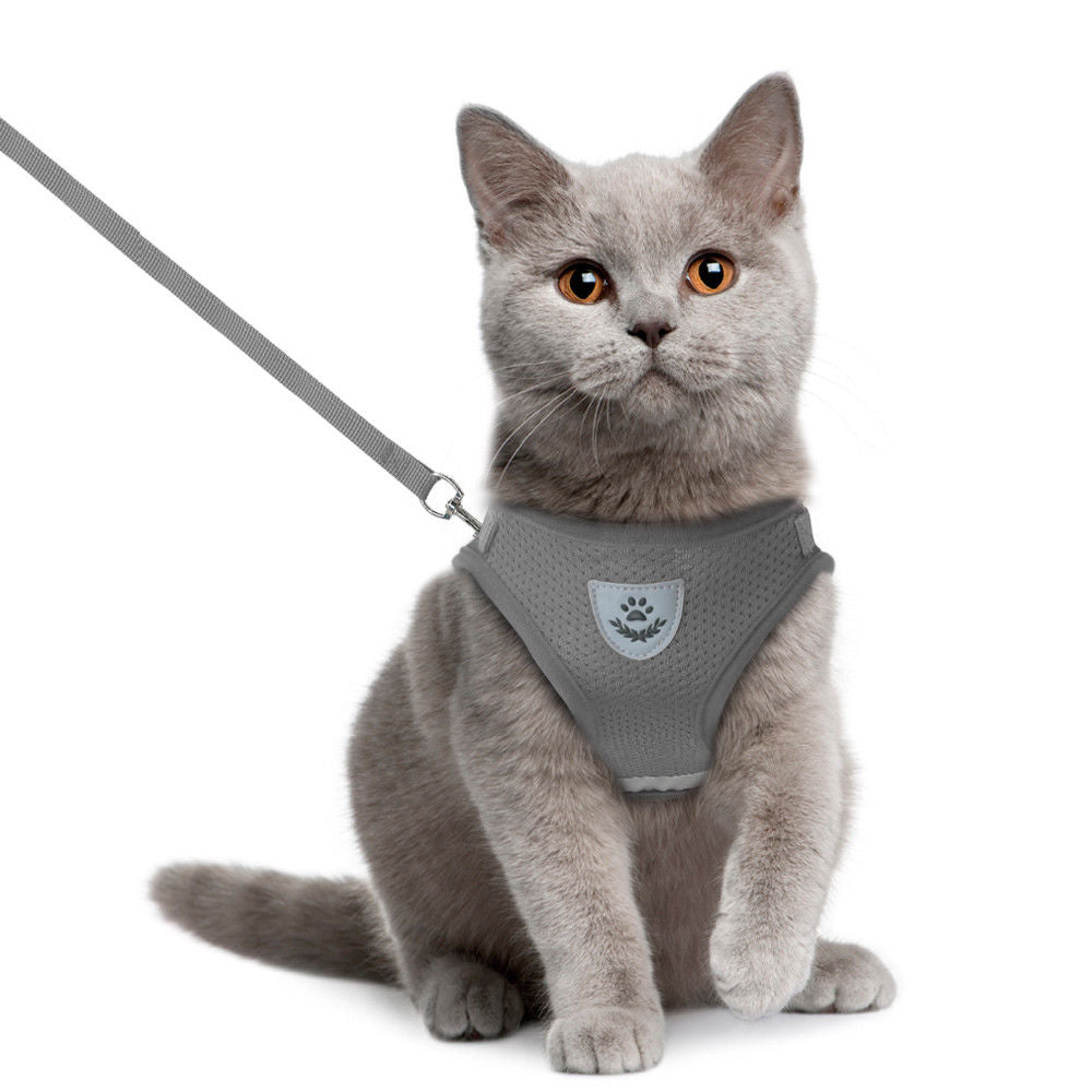 Cat Dog Pet Walking Harness With Leash