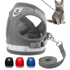 Cat Dog Pet Walking Harness With Leash